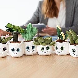 Schmoozies / Evergreenies von Pauger Werbeartikel.